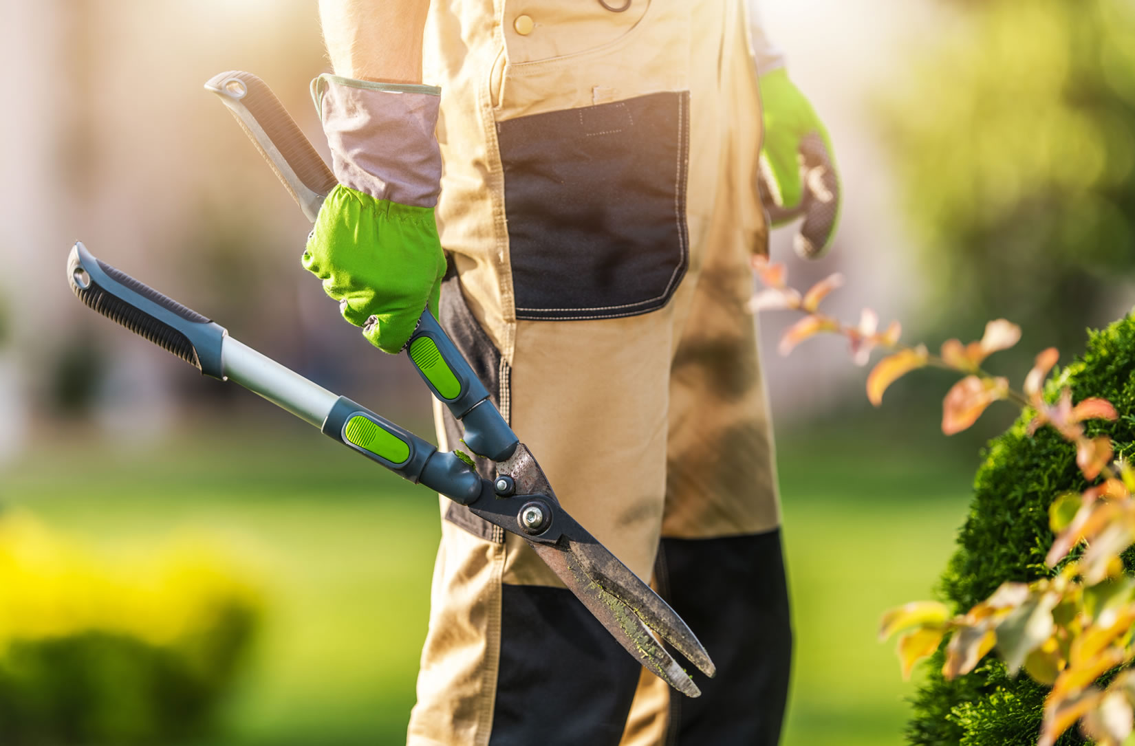 SERVICIOS DE JARDINERÍA EN MADRID